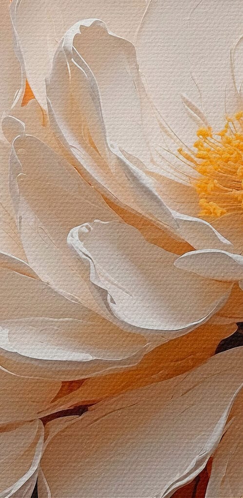 White flower with yellow center White flower with yellow center