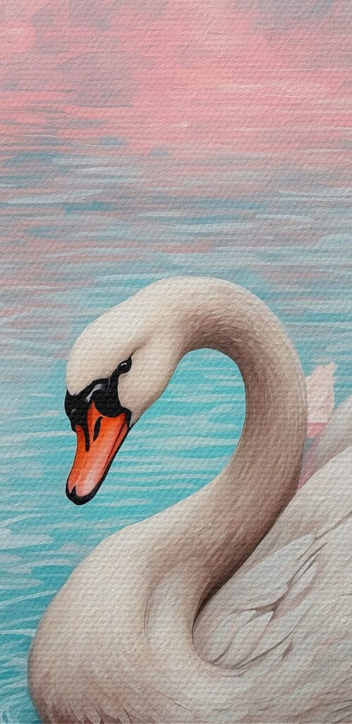 Swan swimming in water with pink flowers Swan swimming in water with pink flowers