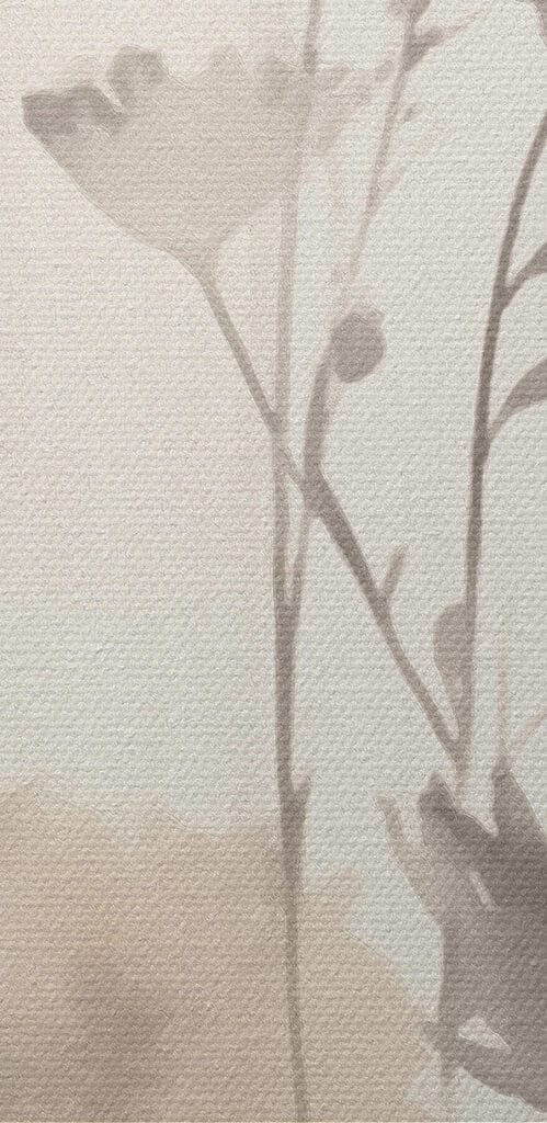 Delicate blossoms in soft hues Delicate blossoms in soft hues