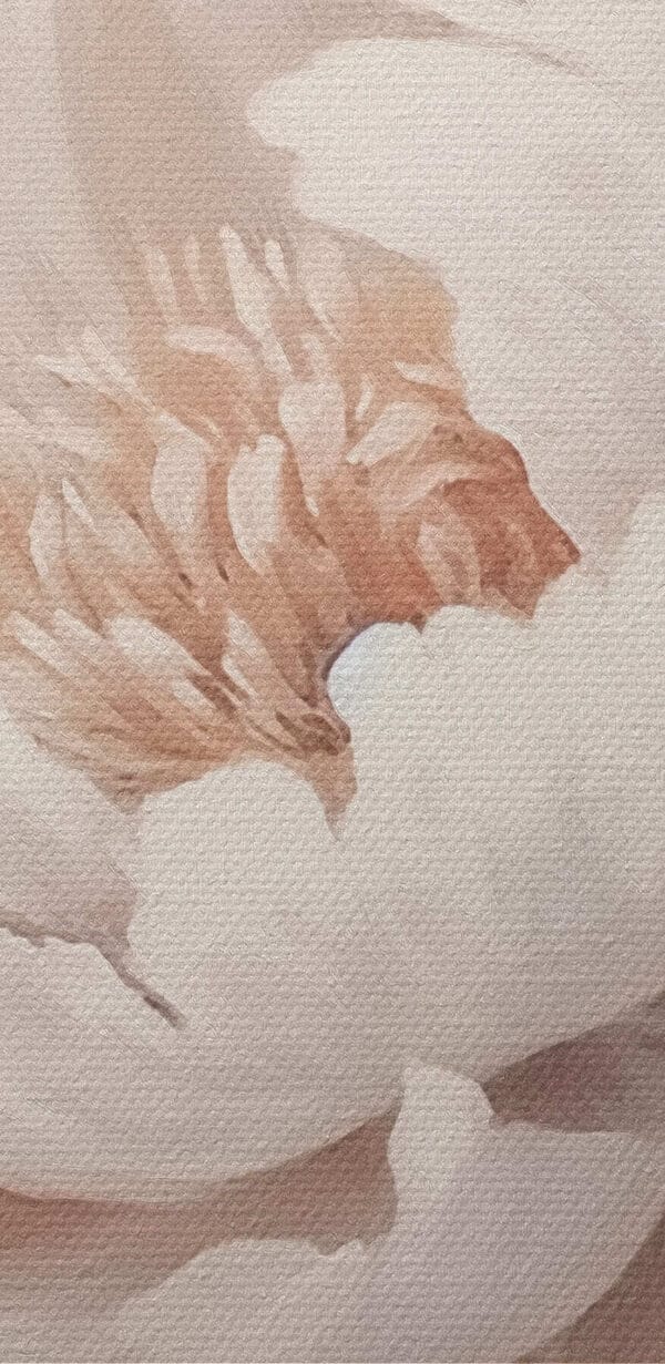 Delicate petals in soft hues Delicate petals in soft hues