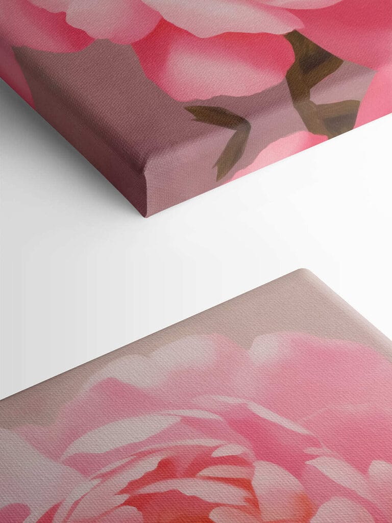 Delicate petals in soft pink hues Delicate petals in soft pink hues