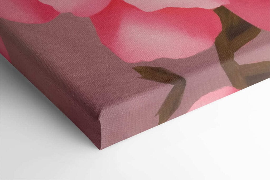 Delicate petals in soft pink hues Delicate petals in soft pink hues