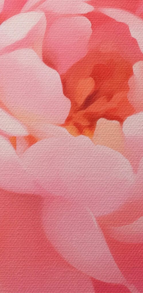 Delicate petals in soft pink hues Delicate petals in soft pink hues