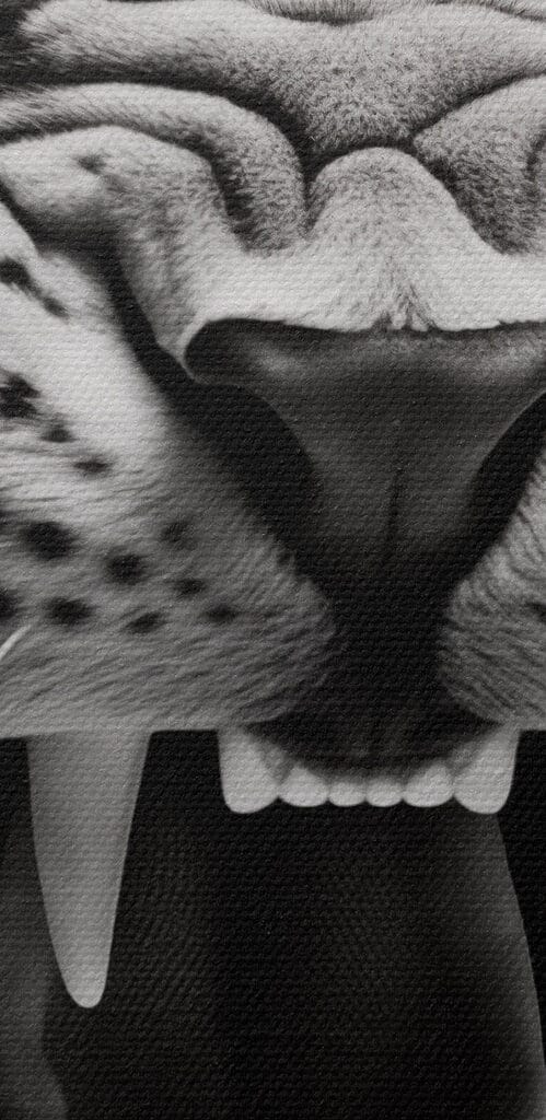 Fierce roar of a majestic predator Fierce roar of a majestic predator