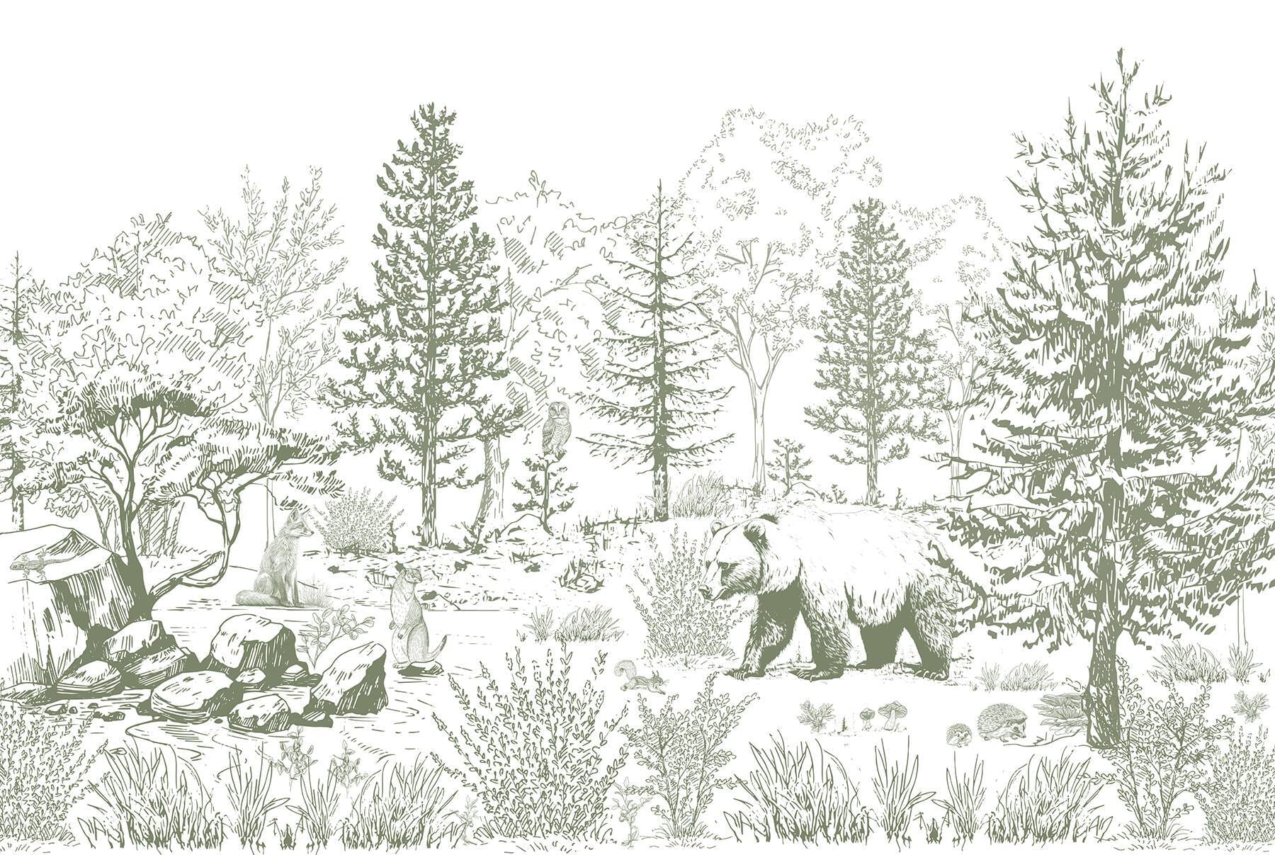 Drawing of a bear in a forest Drawing of a bear in a forest