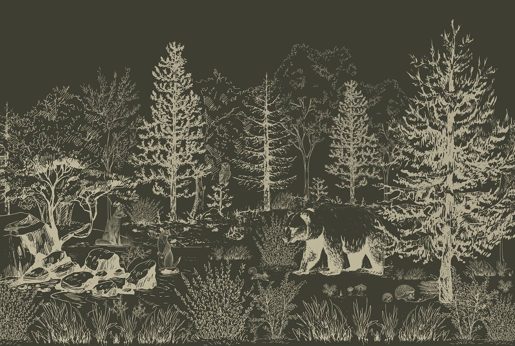 Bear walking in the woods Bear walking in the woods