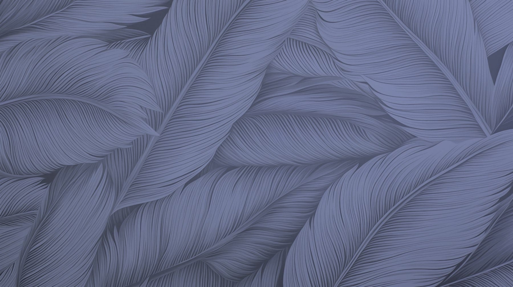 Elegant patterns of soft leaves