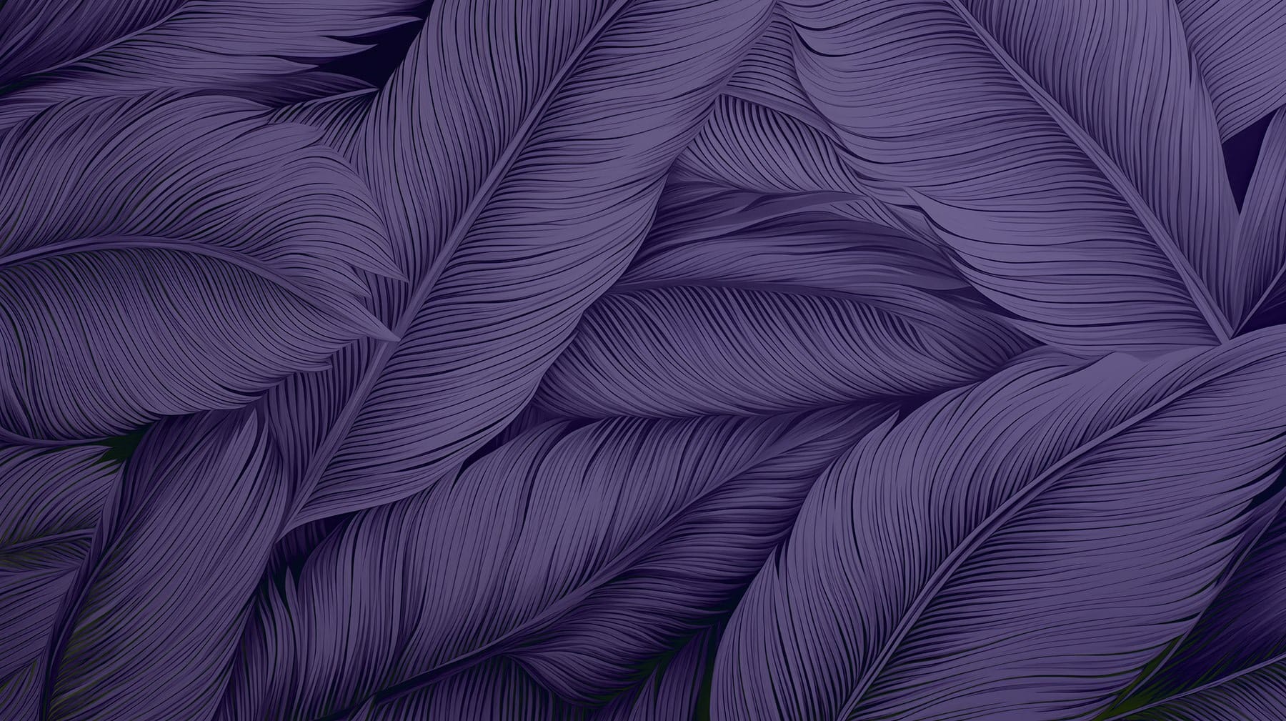 Lush leaves in deep purple hues Lush leaves in deep purple hues