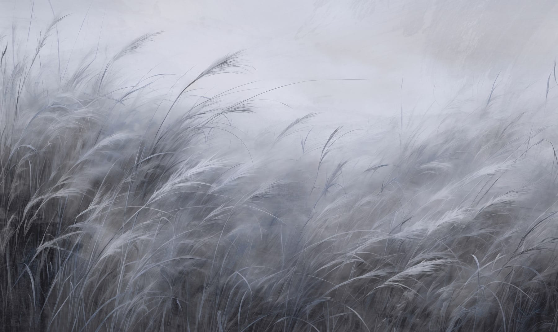 Soft whispers of blue-gray grass