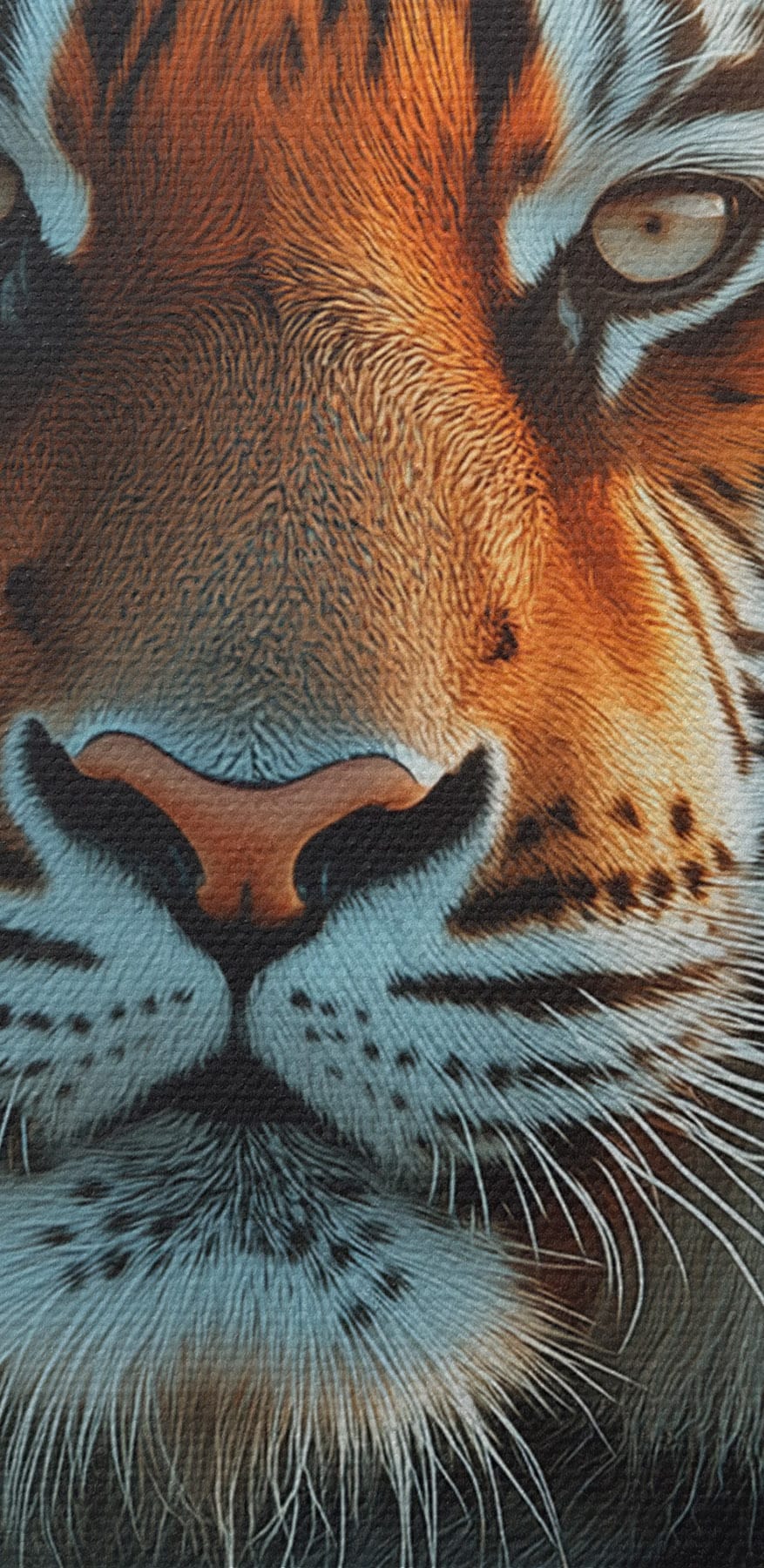 Tiger s korunou
