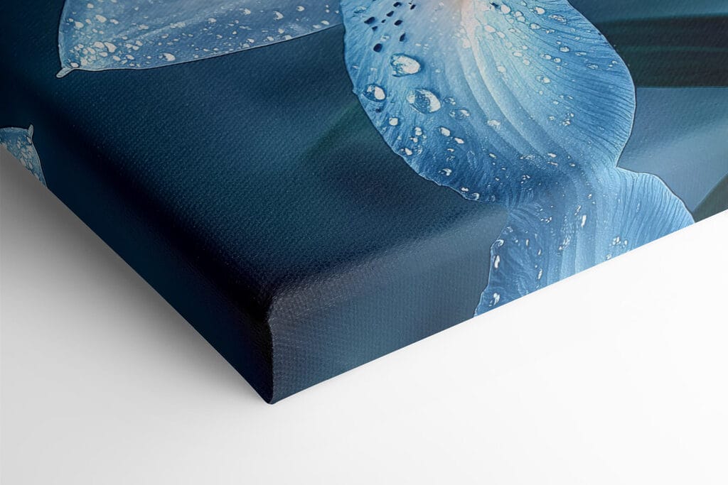 Delicate petals kissed by rain