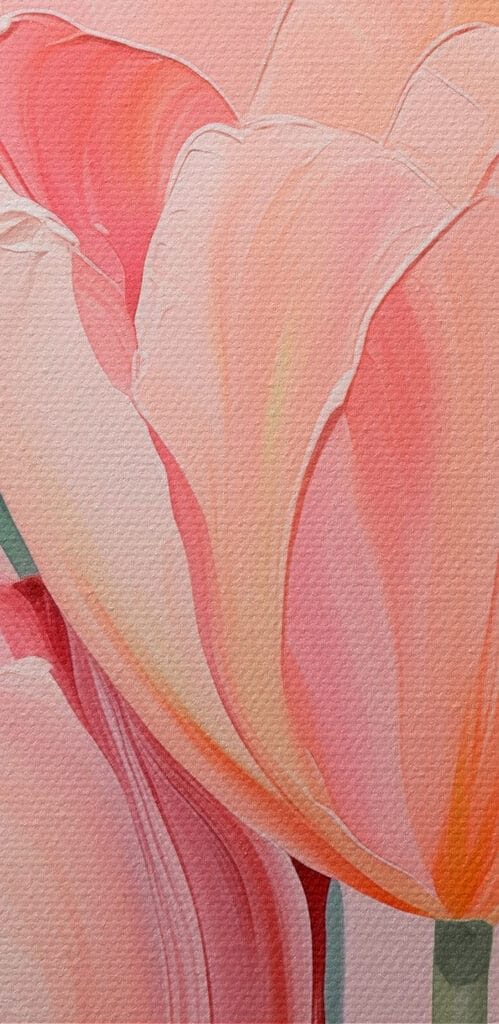 Soft pink tulips in bloom