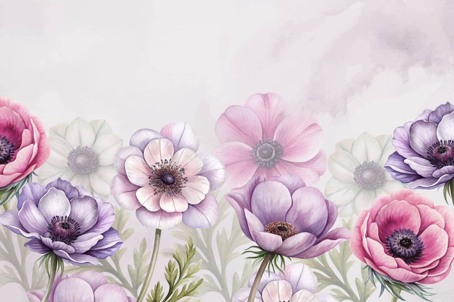 Group of flowers on a white background Group of flowers on a white background