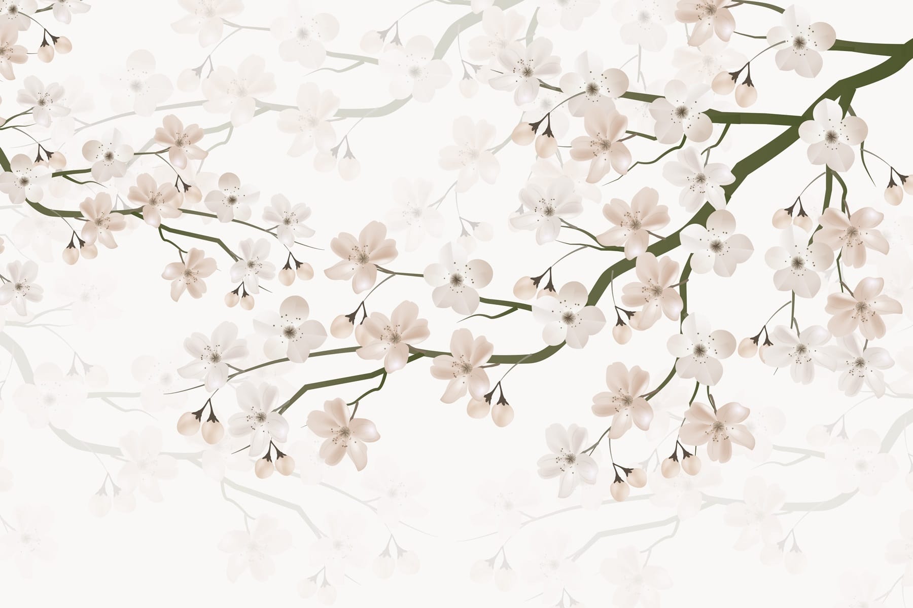 White flowers on a branch White flowers on a branch