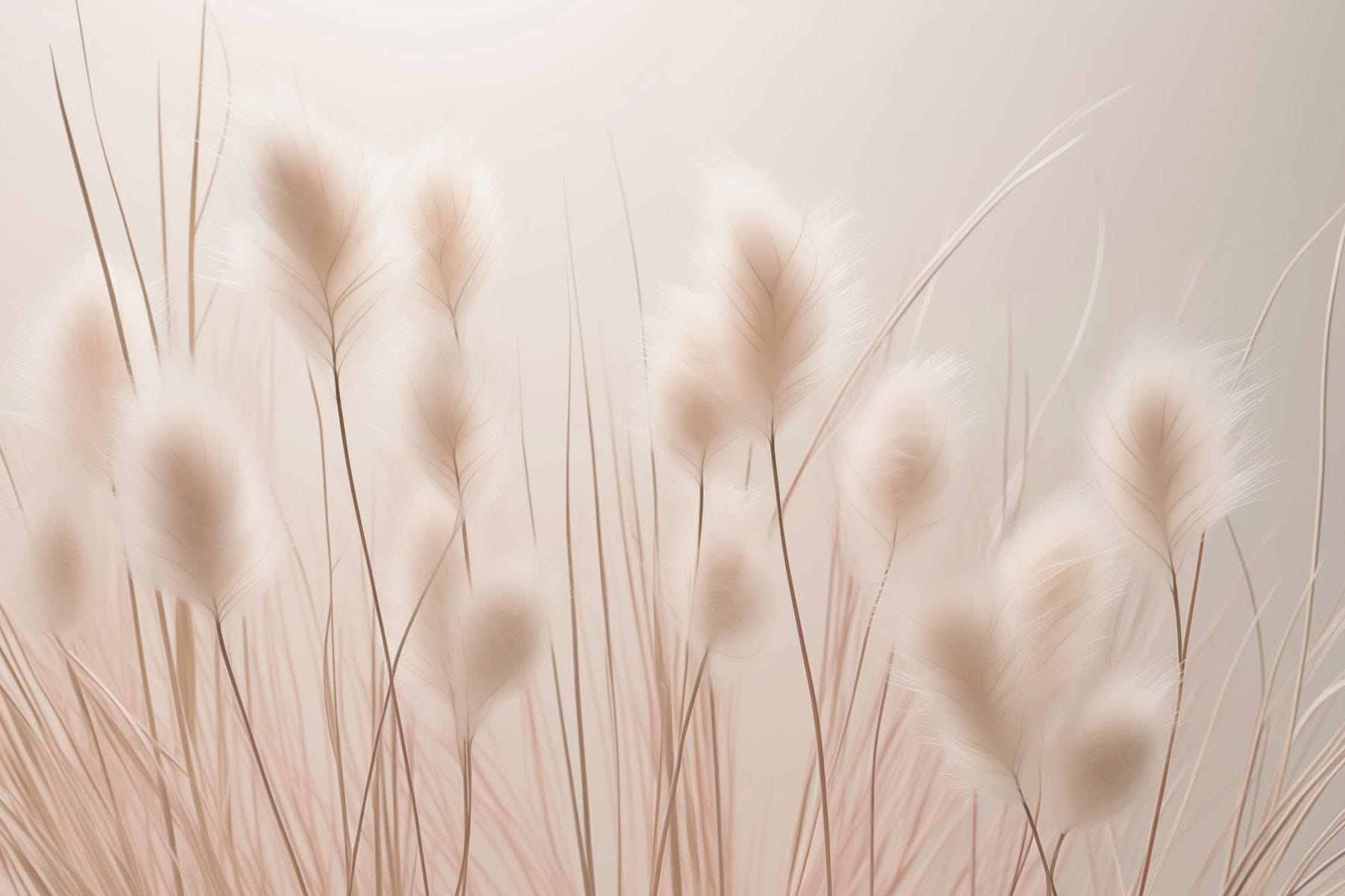 Soft textures in gentle light