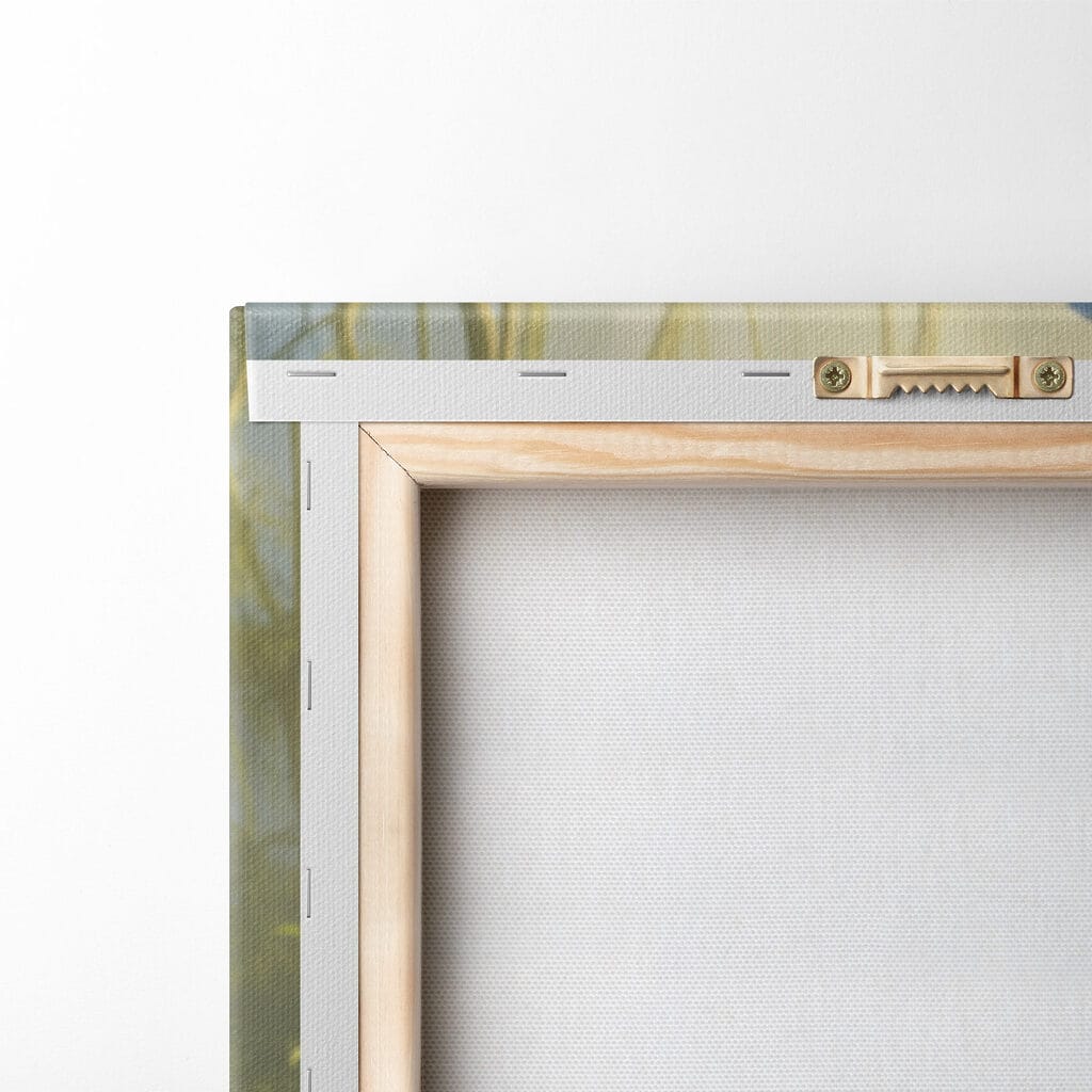 Rabbit in the grass Rabbit in the grass