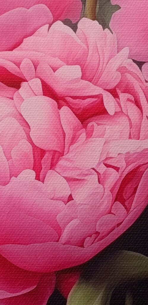 Delicate blooms in soft pink hues Delicate blooms in soft pink hues