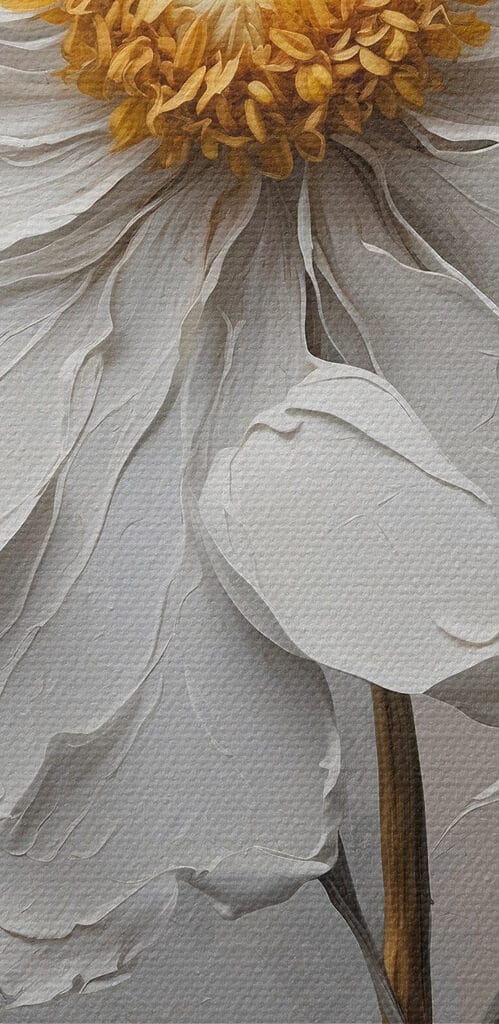 White flower with a yellow center White flower with a yellow center