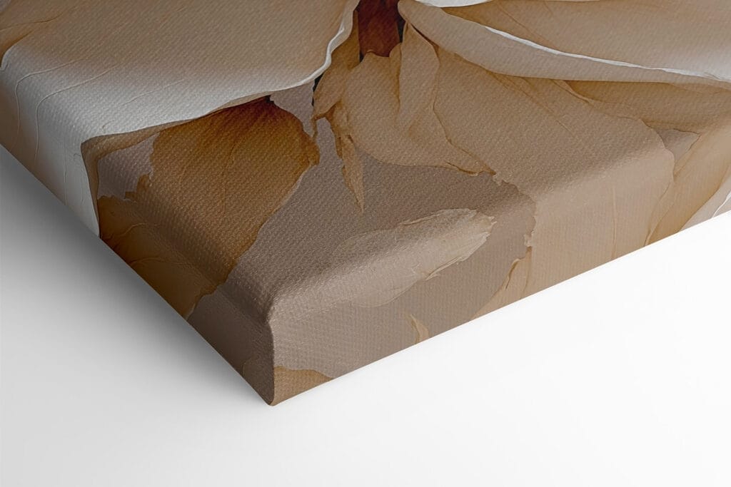 Delicate petals in soft hues