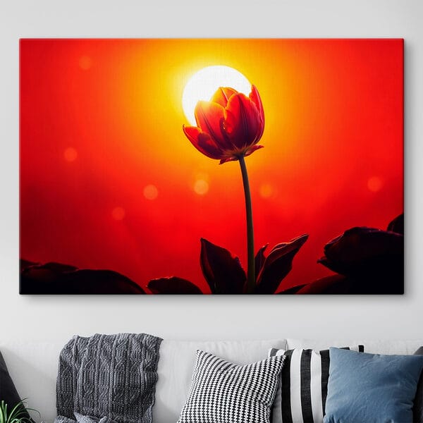 Červený tulipán a slnko za ním Červený tulipán a slnko za ním