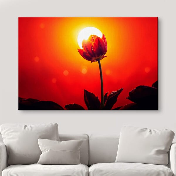 Červený tulipán a slnko za ním Červený tulipán a slnko za ním