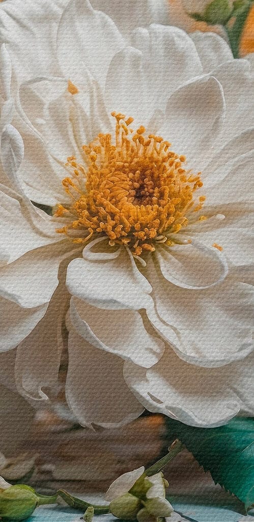 Group of white flowers Group of white flowers