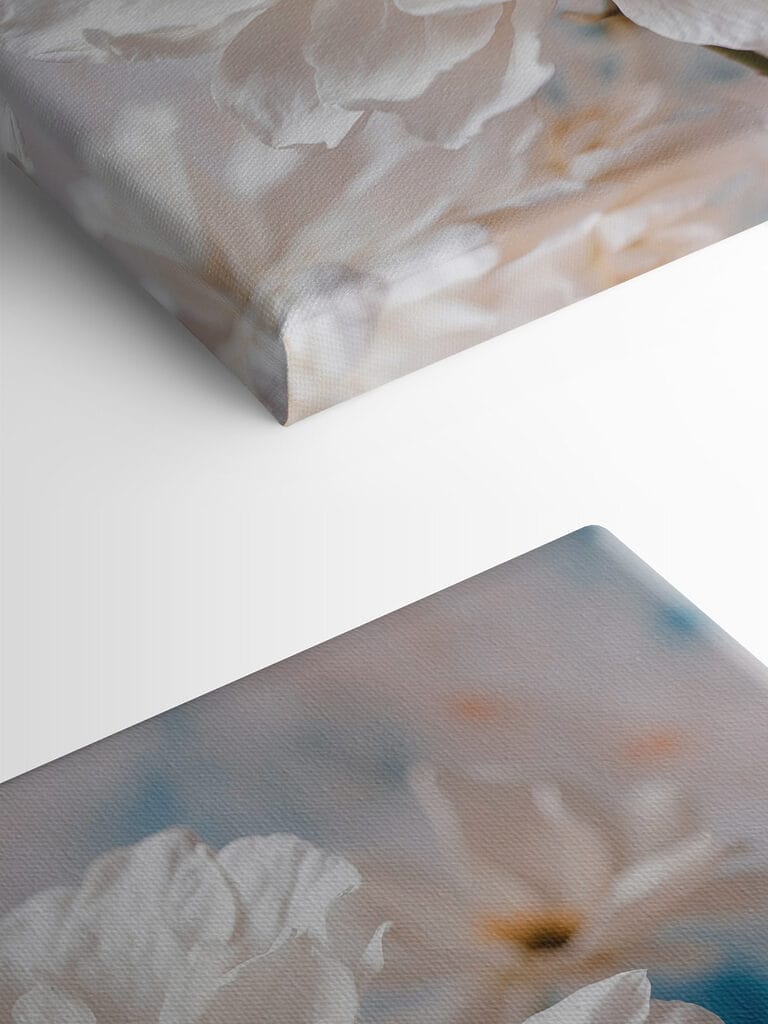 Delicate petals, nature's soft touch