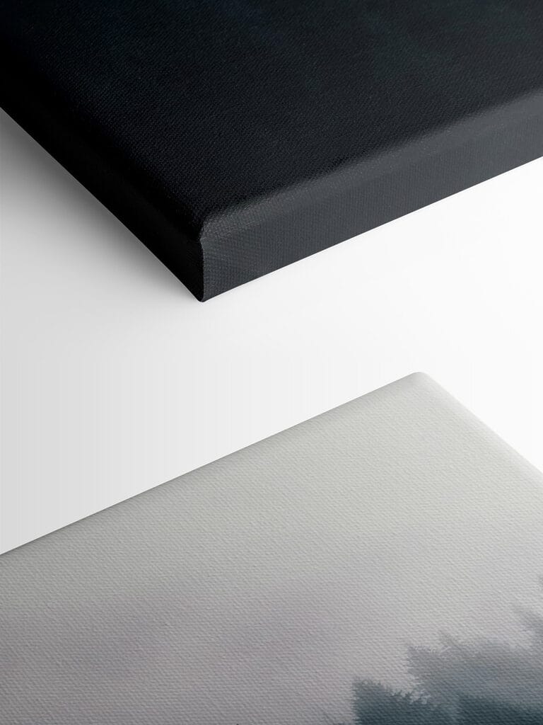 Foggy forest with trees Foggy forest with trees