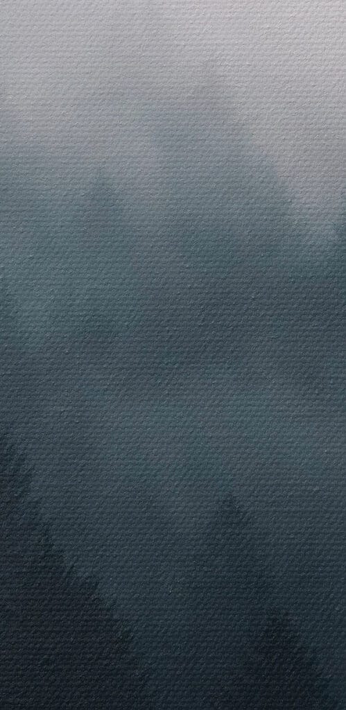 Foggy forest with trees Foggy forest with trees