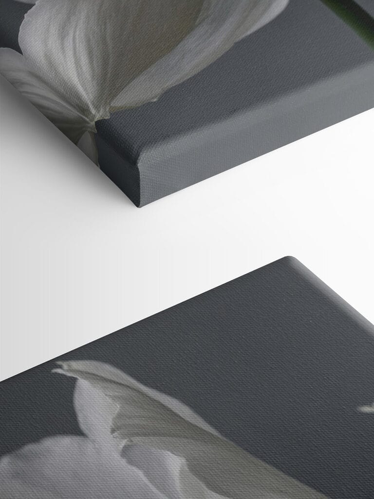 Delicate petals in soft hues