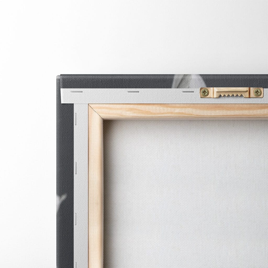 Delicate petals in soft hues