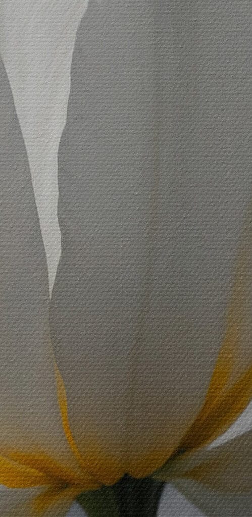 Delicate petals in soft hues