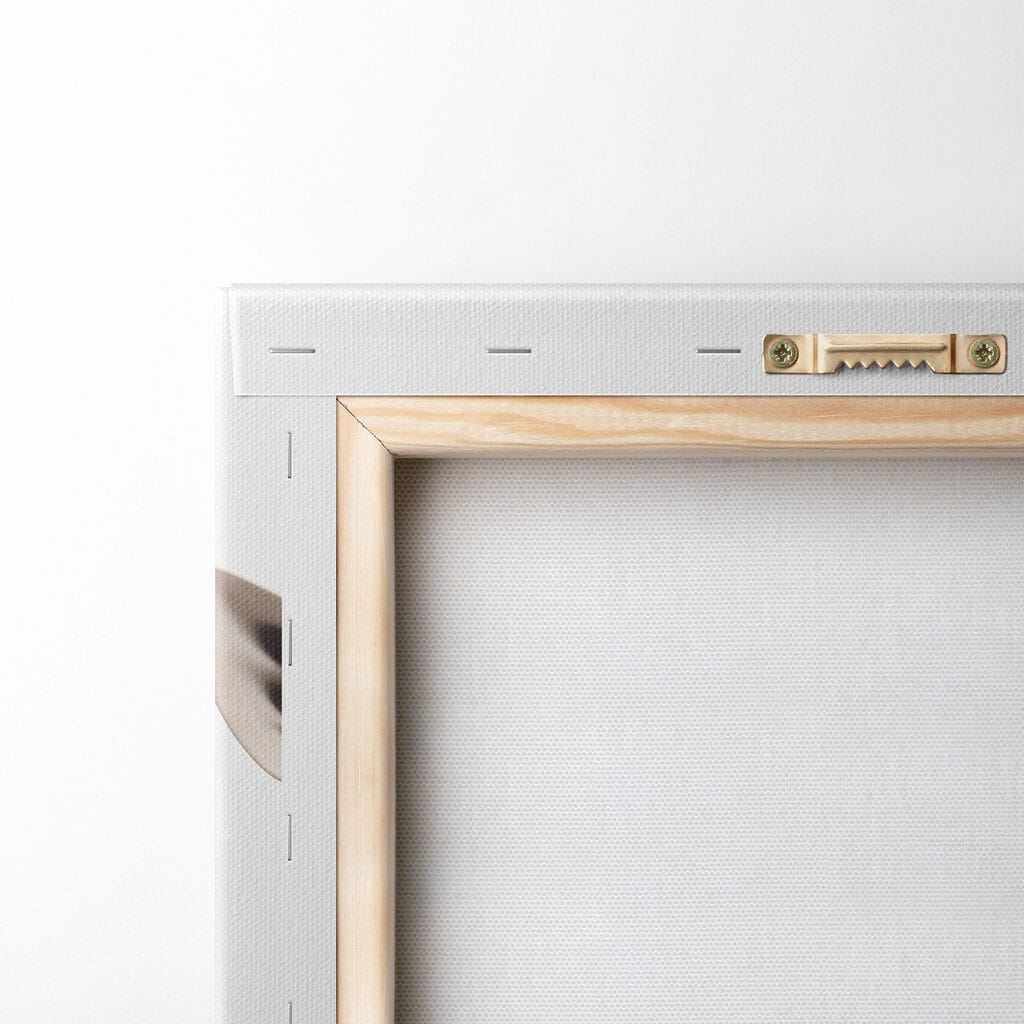 Two giraffes looking at the camera