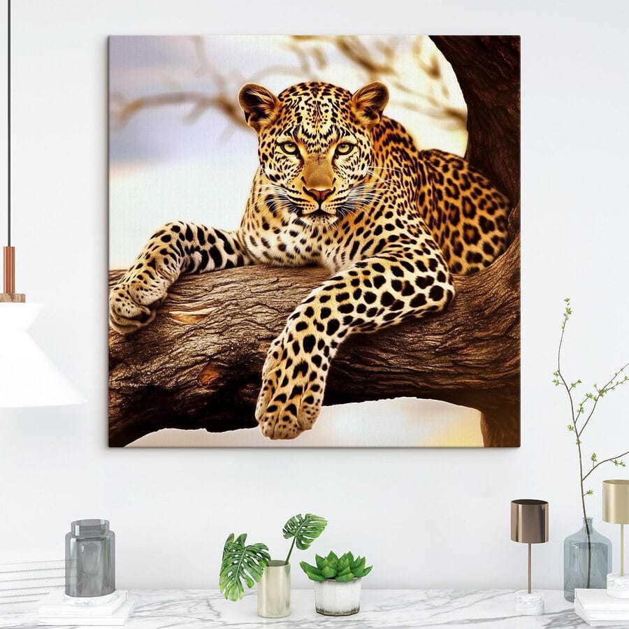 Leopard ležiaci na konári stromu