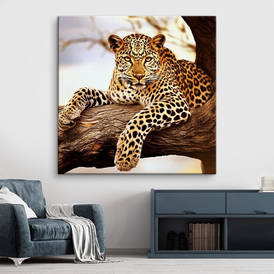Leopard ležiaci na konári stromu