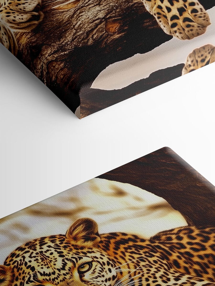 Leopard ležiaci na konári stromu
