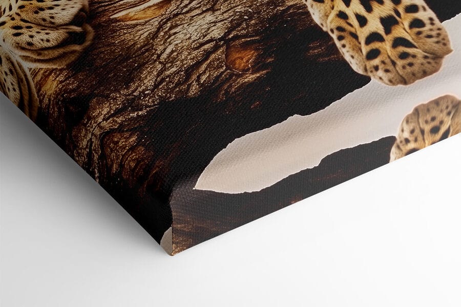 Leopard ležiaci na konári stromu