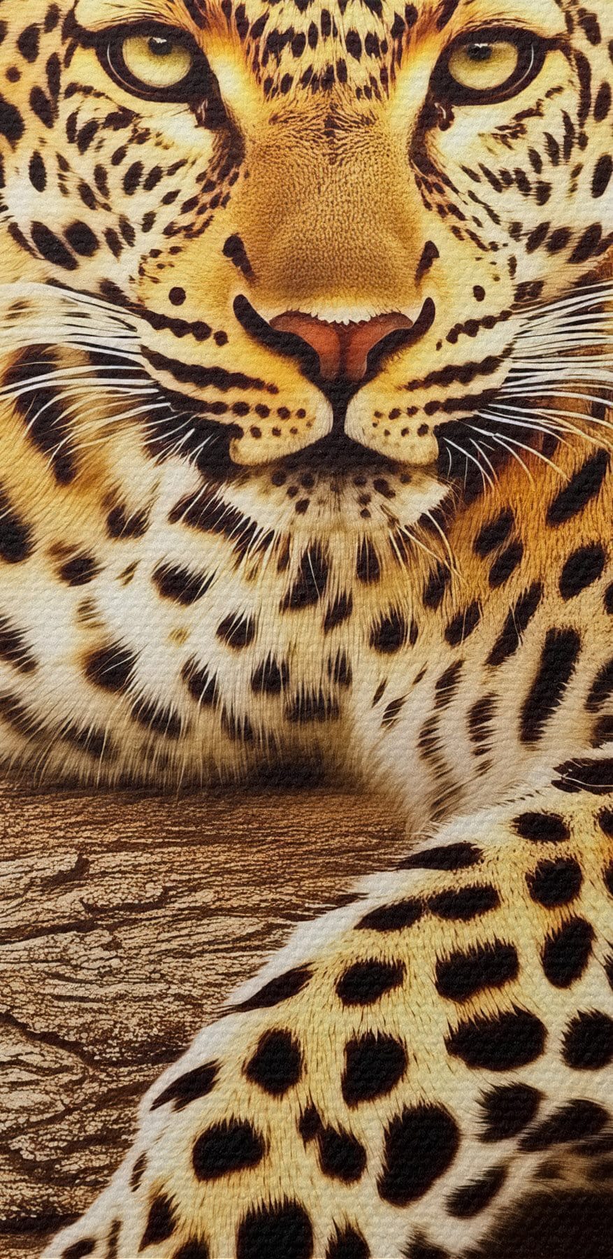 Leopard ležiaci na konári stromu