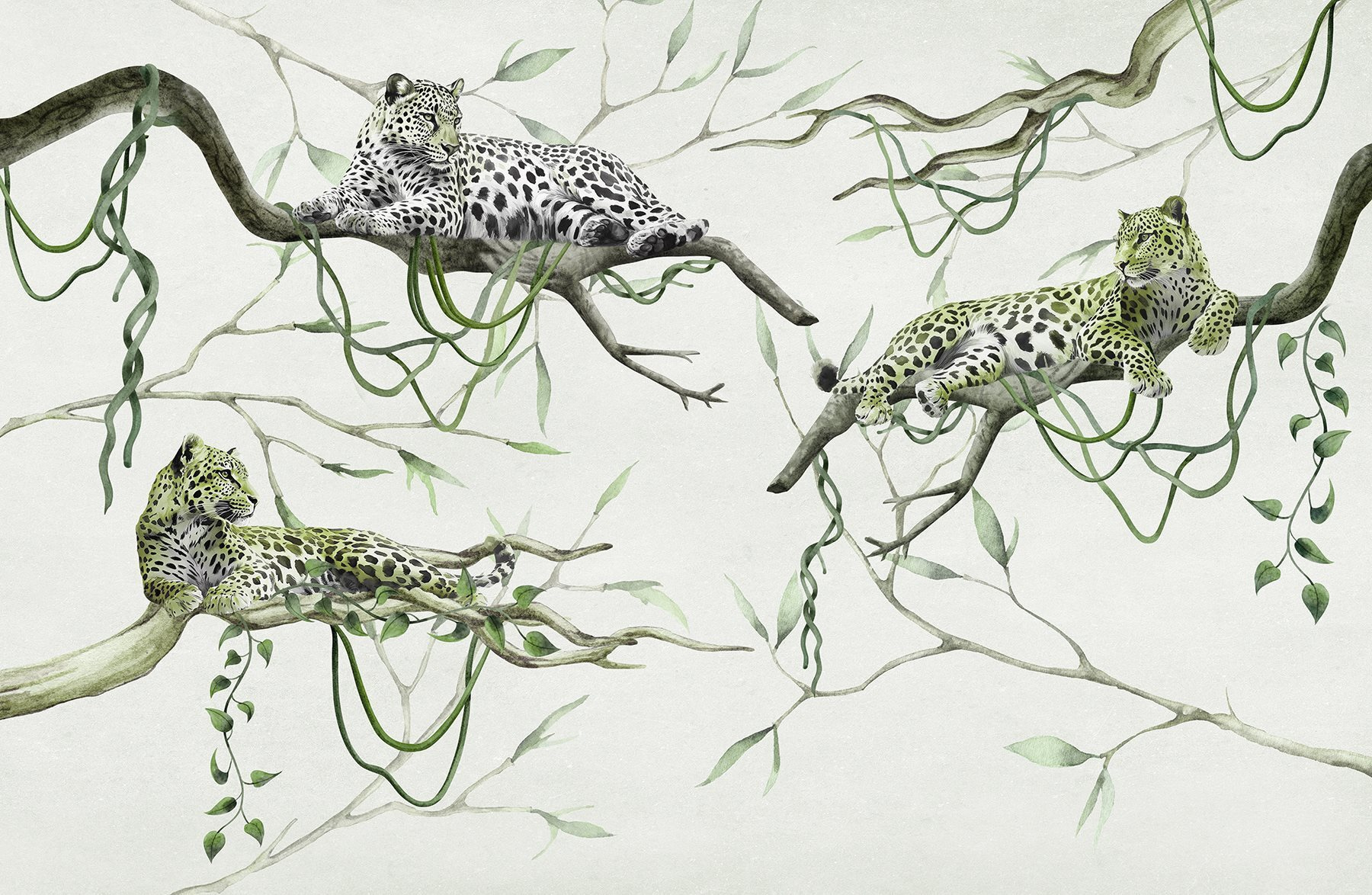 Group of leopards lying on branches Group of leopards lying on branches