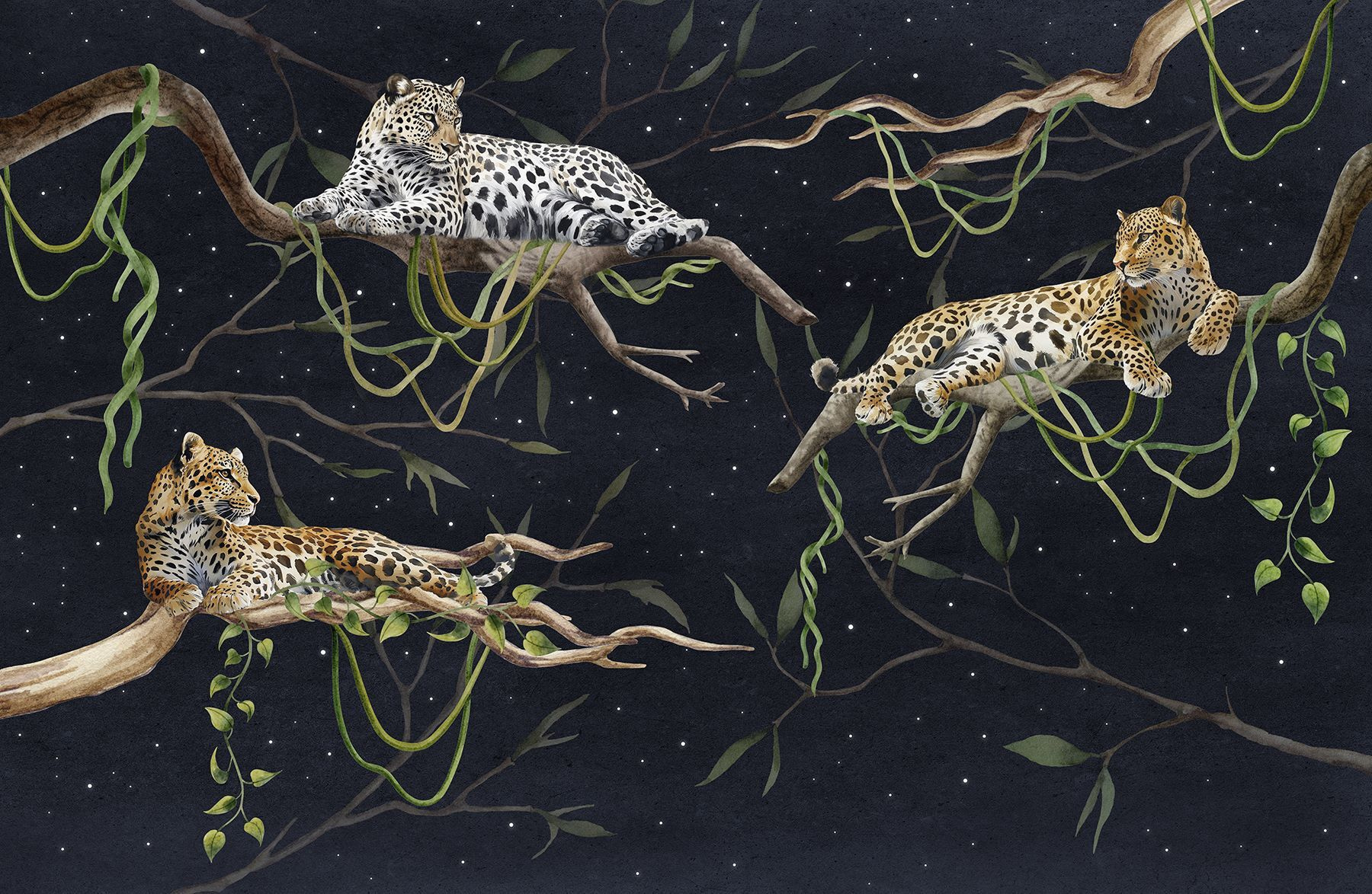 Group of leopards lying on branches