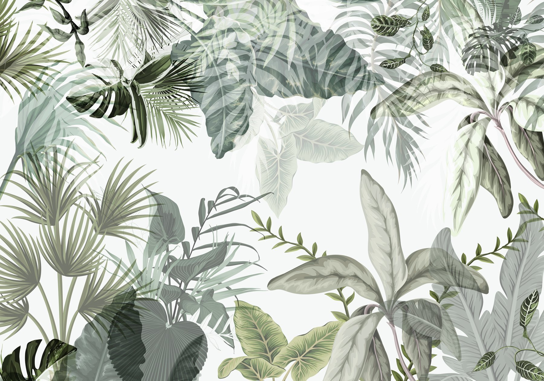 Nature's tranquil green tapestry unfolds Nature's tranquil green tapestry unfolds