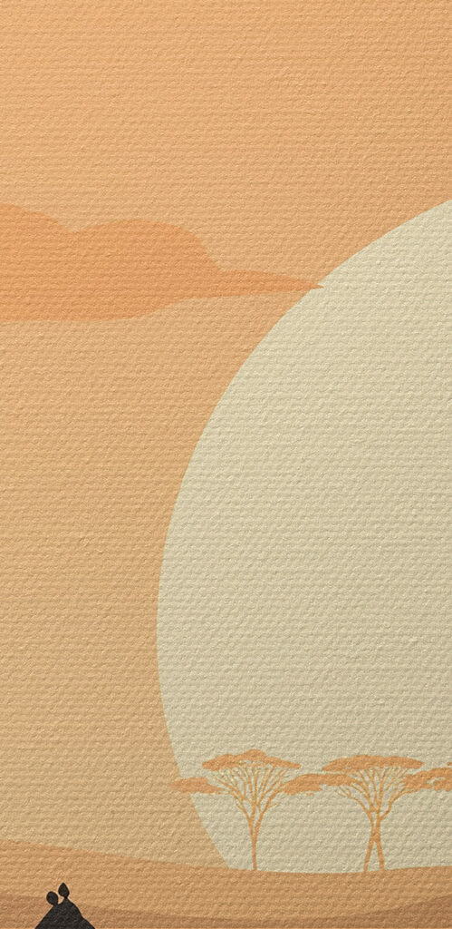 Giraffes walking in a grassy field with trees and a sunset Giraffes walking in a grassy field with trees and a sunset