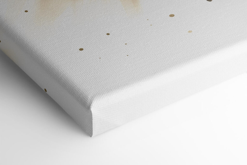 Girl in a tutu Girl in a tutu