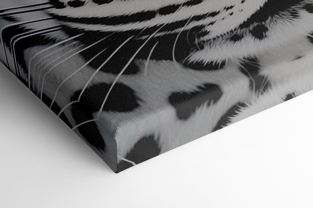 Striking beauty in black and white Striking beauty in black and white