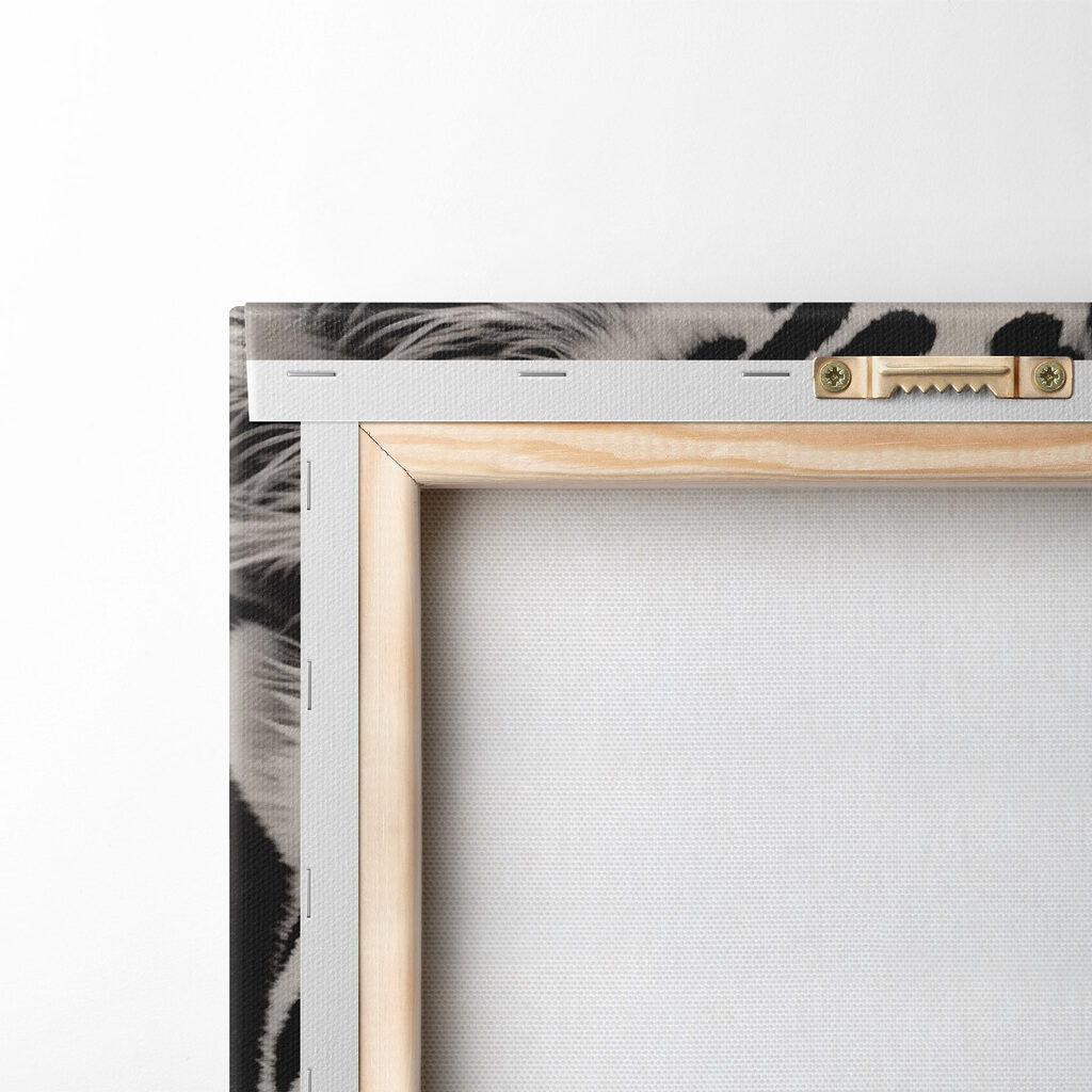 Striking beauty in black and white Striking beauty in black and white