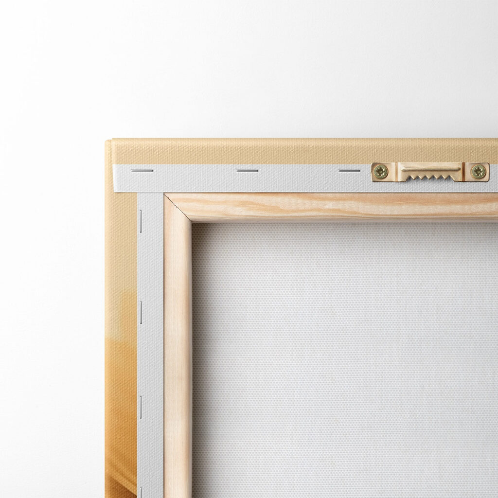 Vibrant petals in soft sunlight