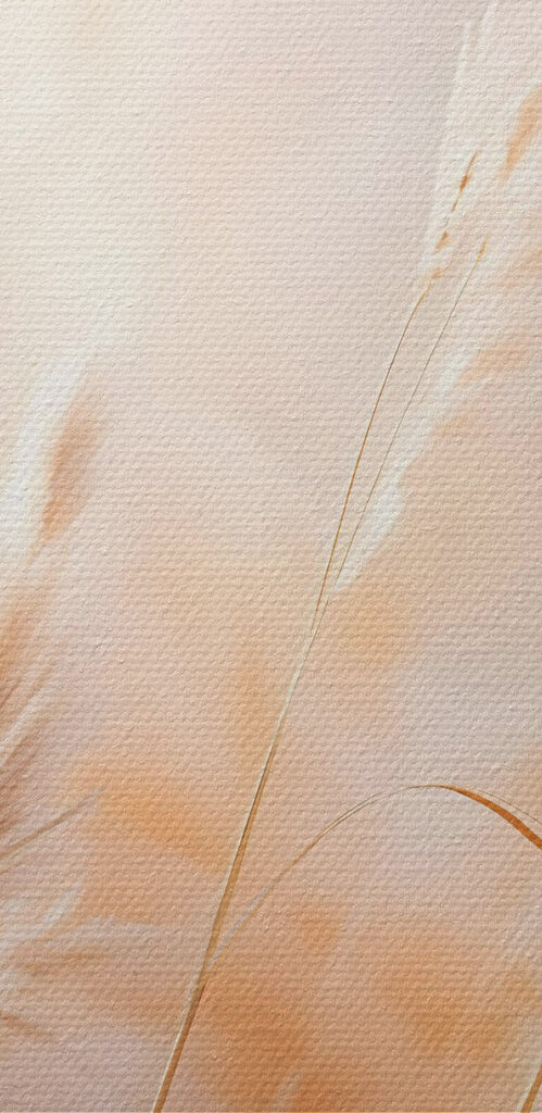 Soft grasses dancing in the breeze Soft grasses dancing in the breeze