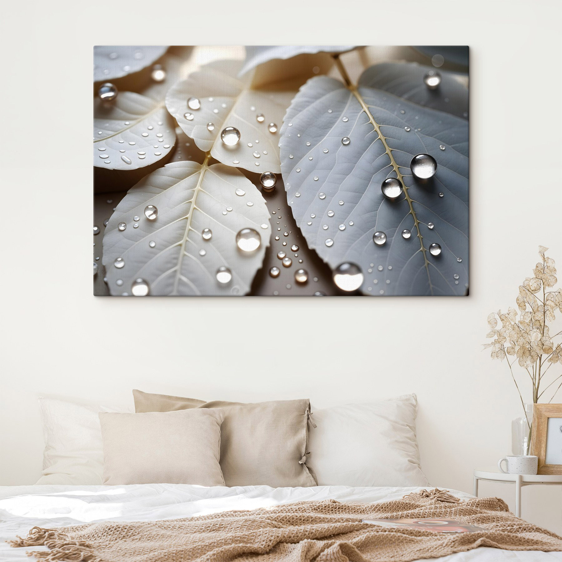 Nature's delicate droplets on leaves