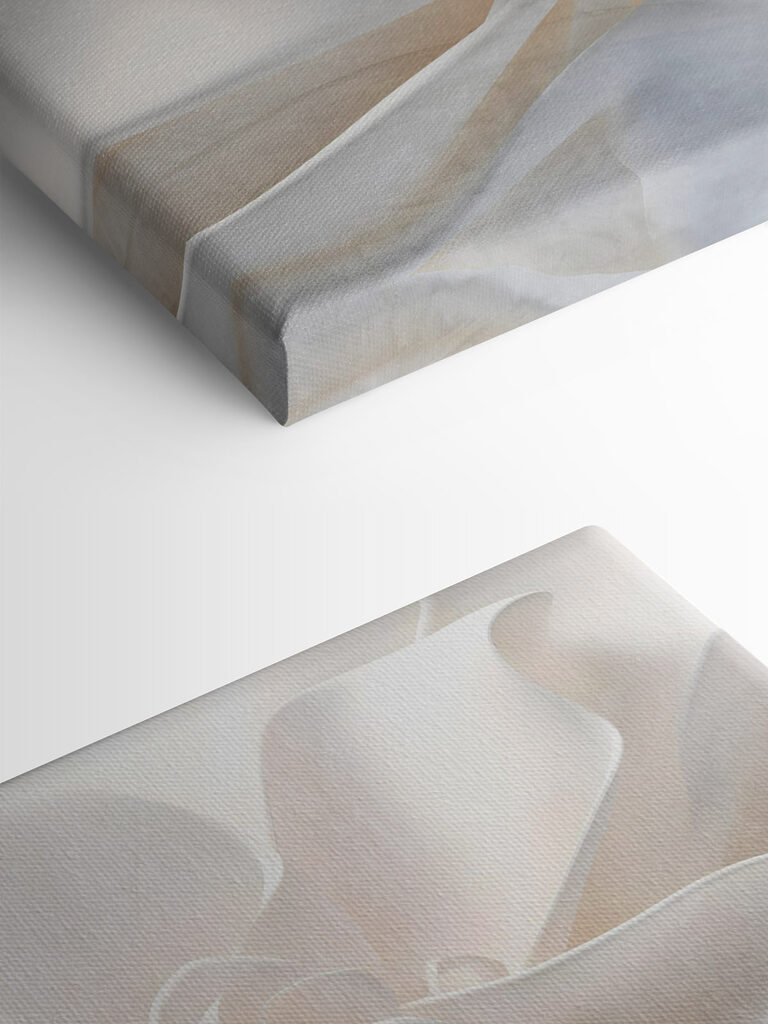 Delicate layers of floral beauty Delicate layers of floral beauty