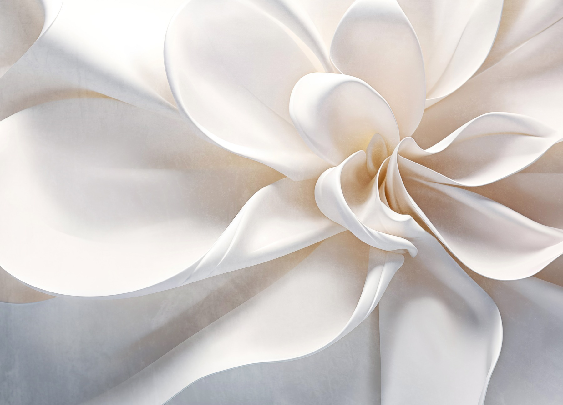 White fabric flower White fabric flower